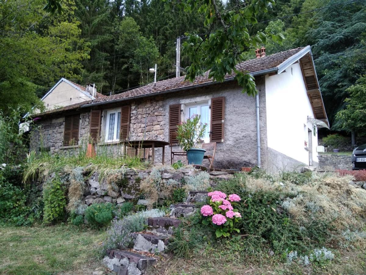 Gite Rural Les Maires D'Avaux Saint-Bresson المظهر الخارجي الصورة