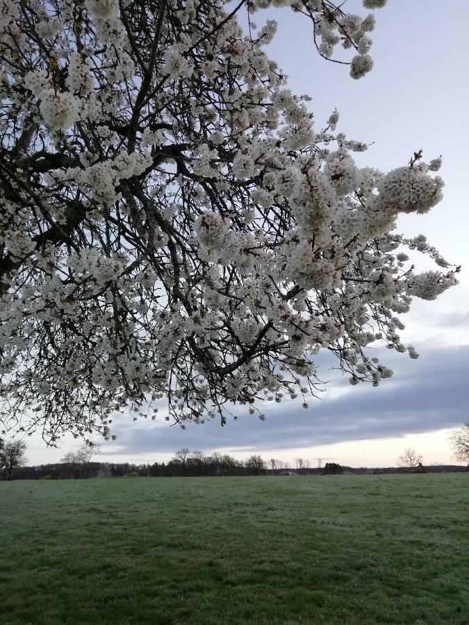 Gite Rural Les Maires D'Avaux Saint-Bresson المظهر الخارجي الصورة